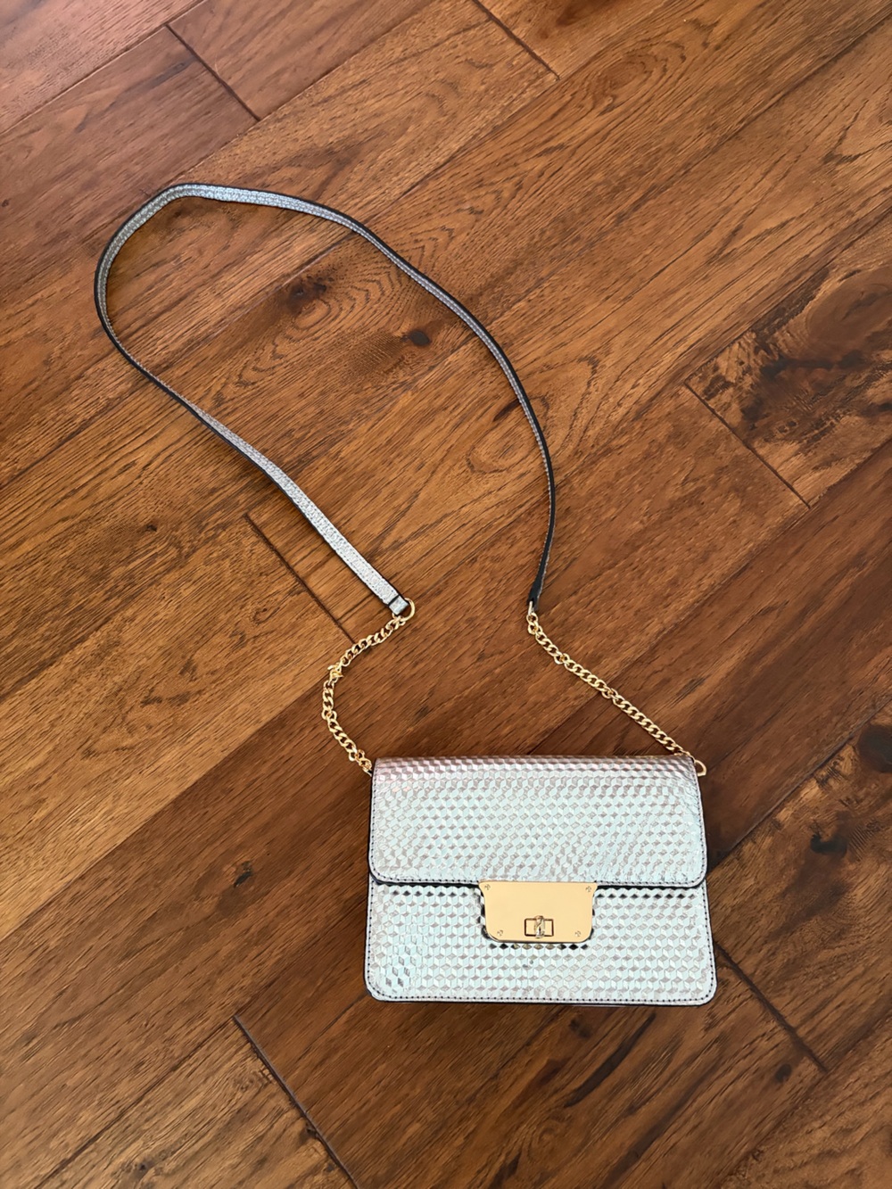 milly metallic silver crossbody purse